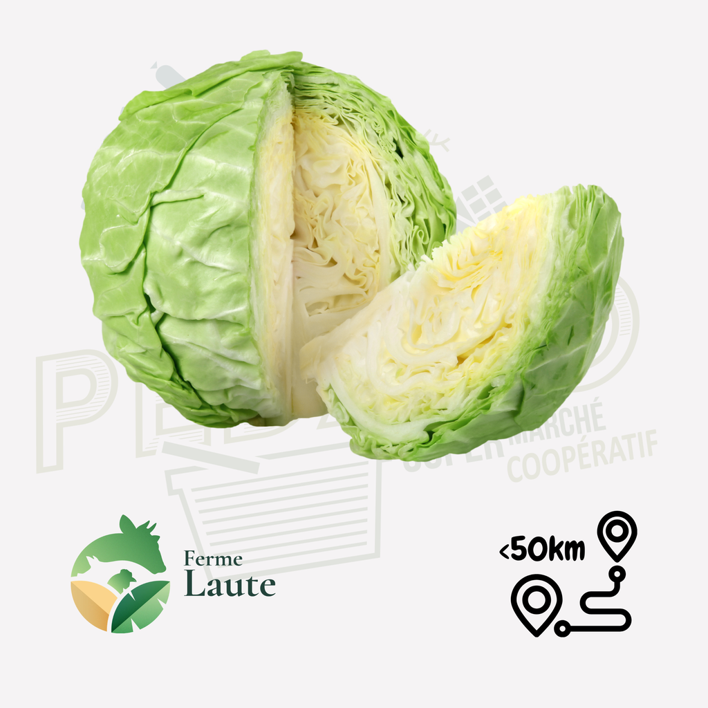 Chou blanc FL Unité