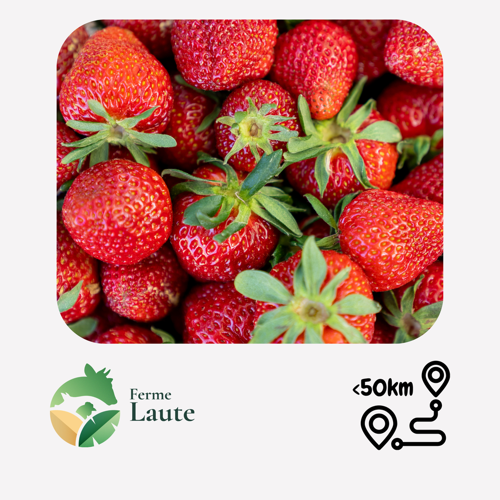 Fraises belges FL - 500g
