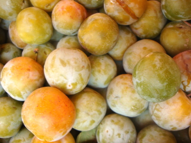 Prune Reine Claude FL VRAC