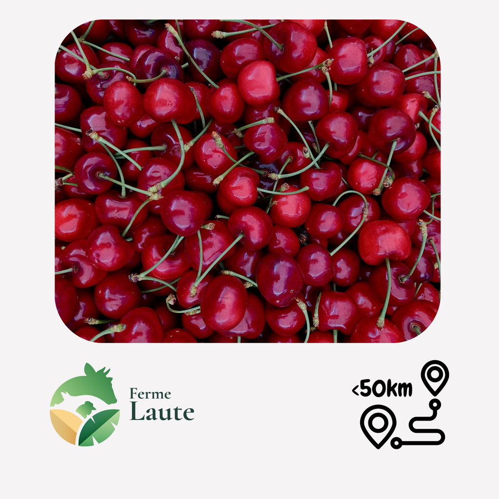 Cerises FL - 500g