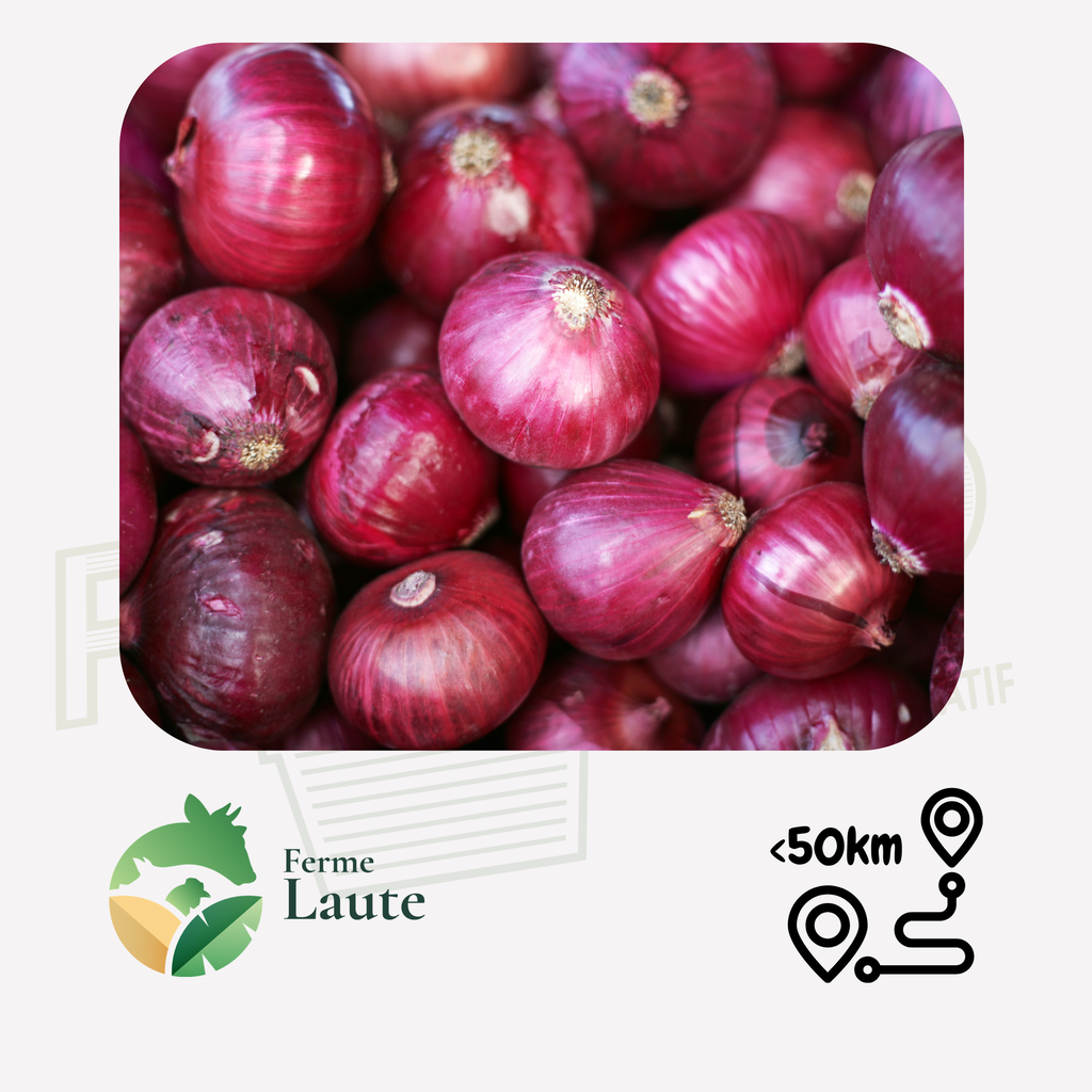 Oignon rouge FL - 1kg
