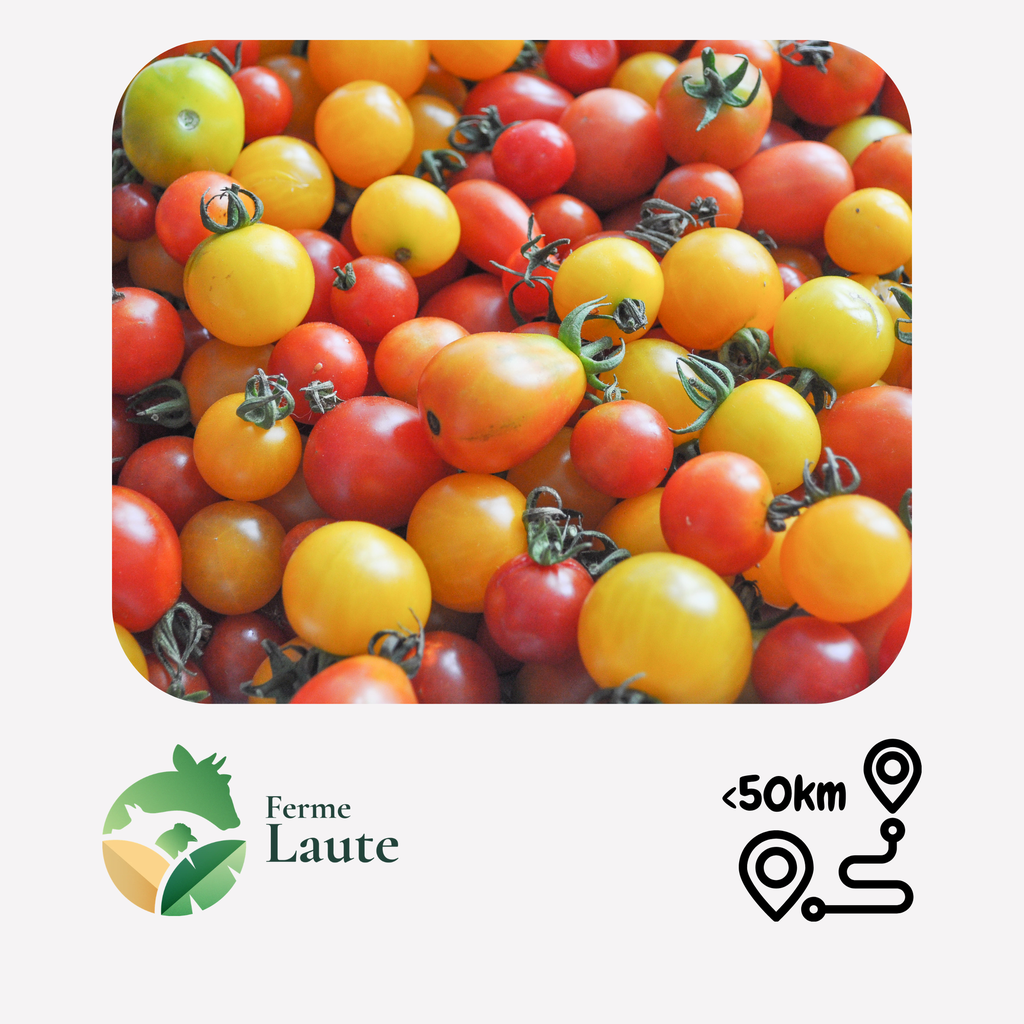 Tomate Cerise multicolores FL - 250g
