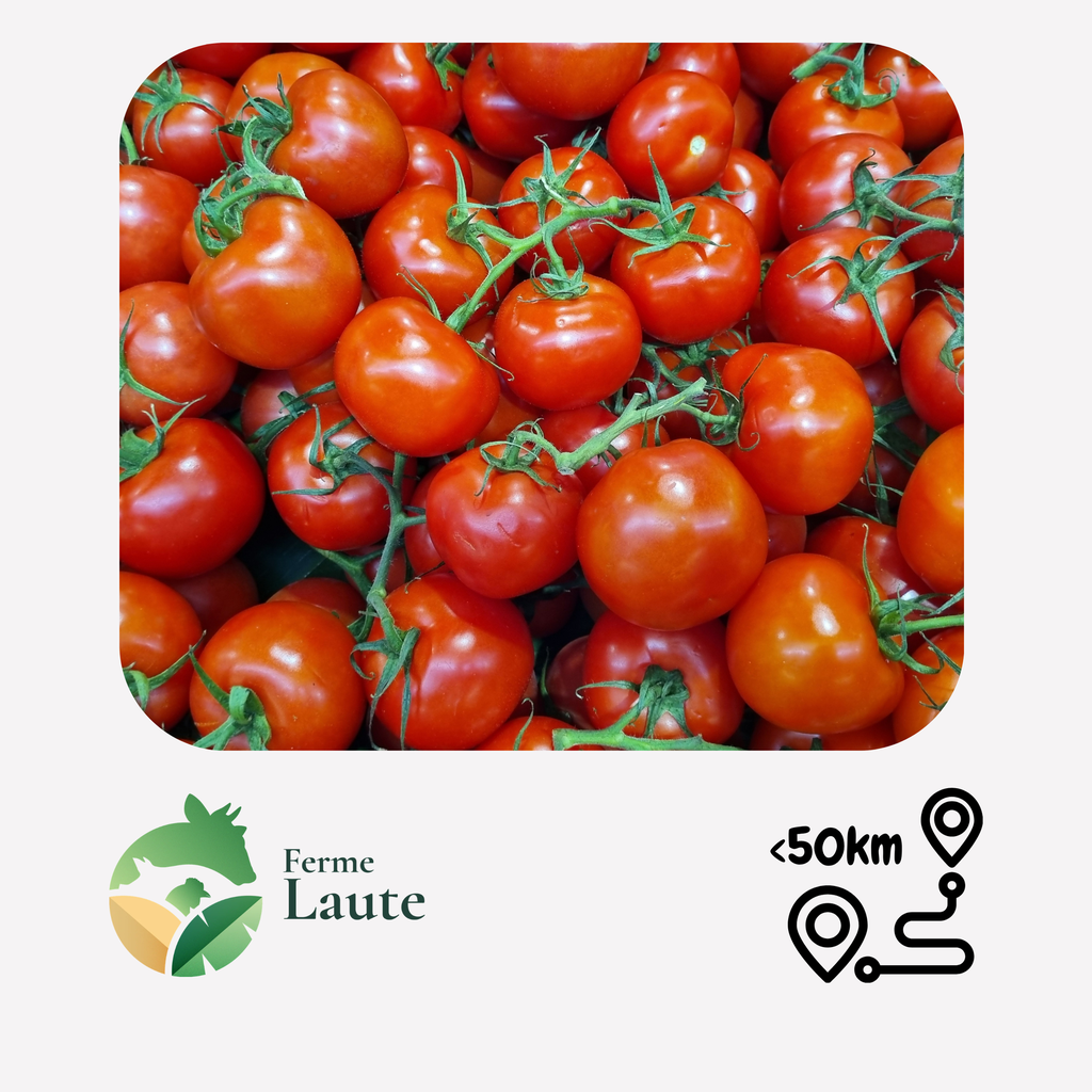 Tomate classique FL - 1kg