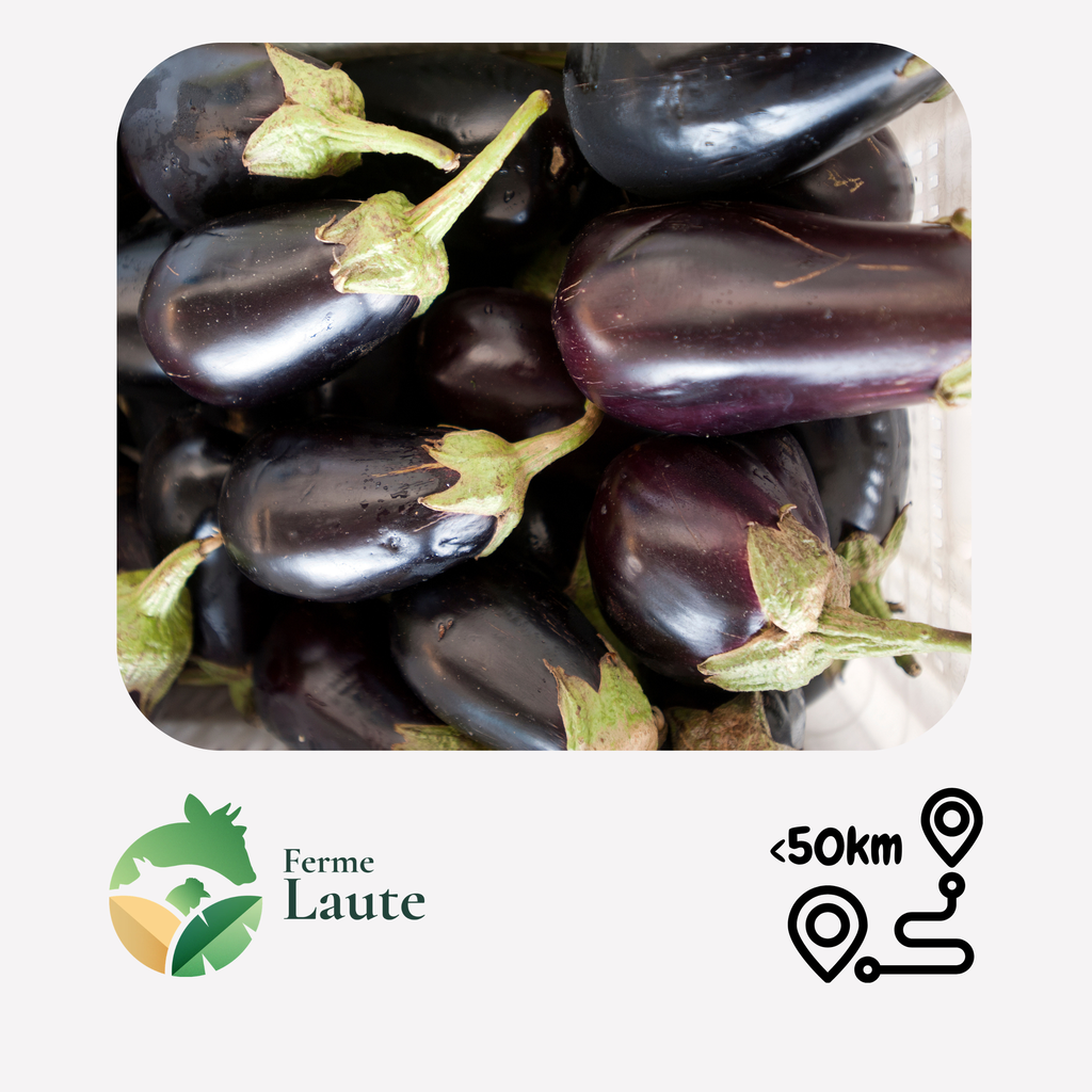 Aubergines FL - 1kg