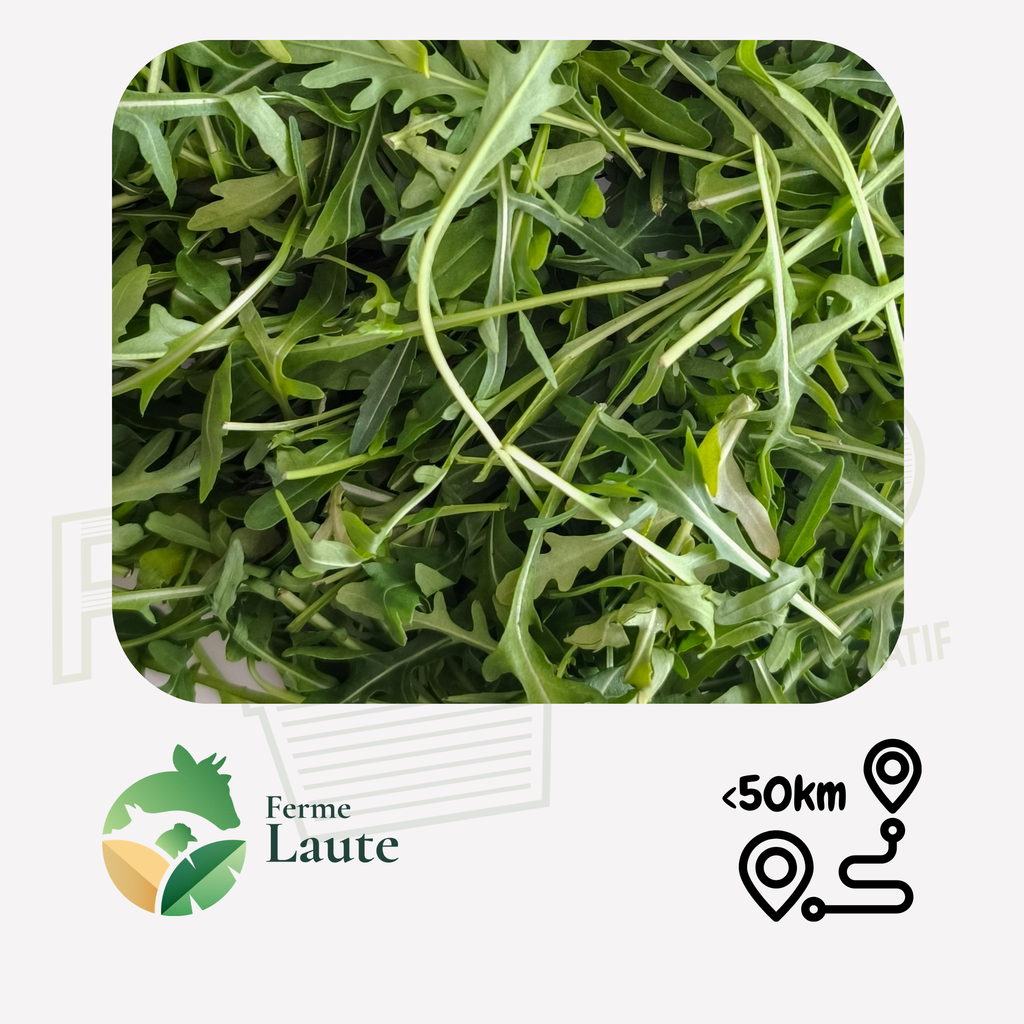 Roquette FL - 125g
