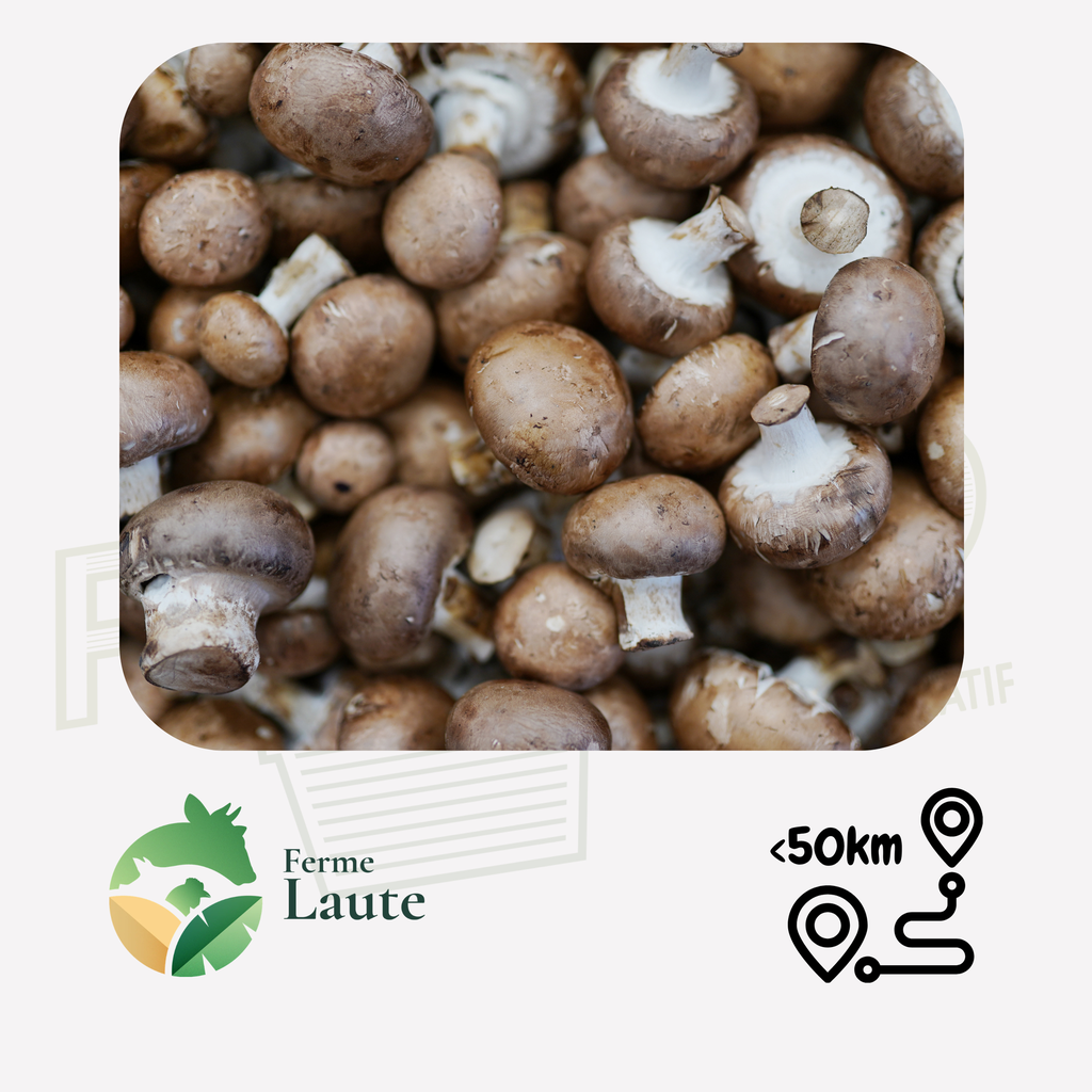 Champignon chataigne FL - 500g