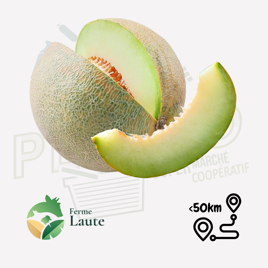 Melon jaune FL Unité