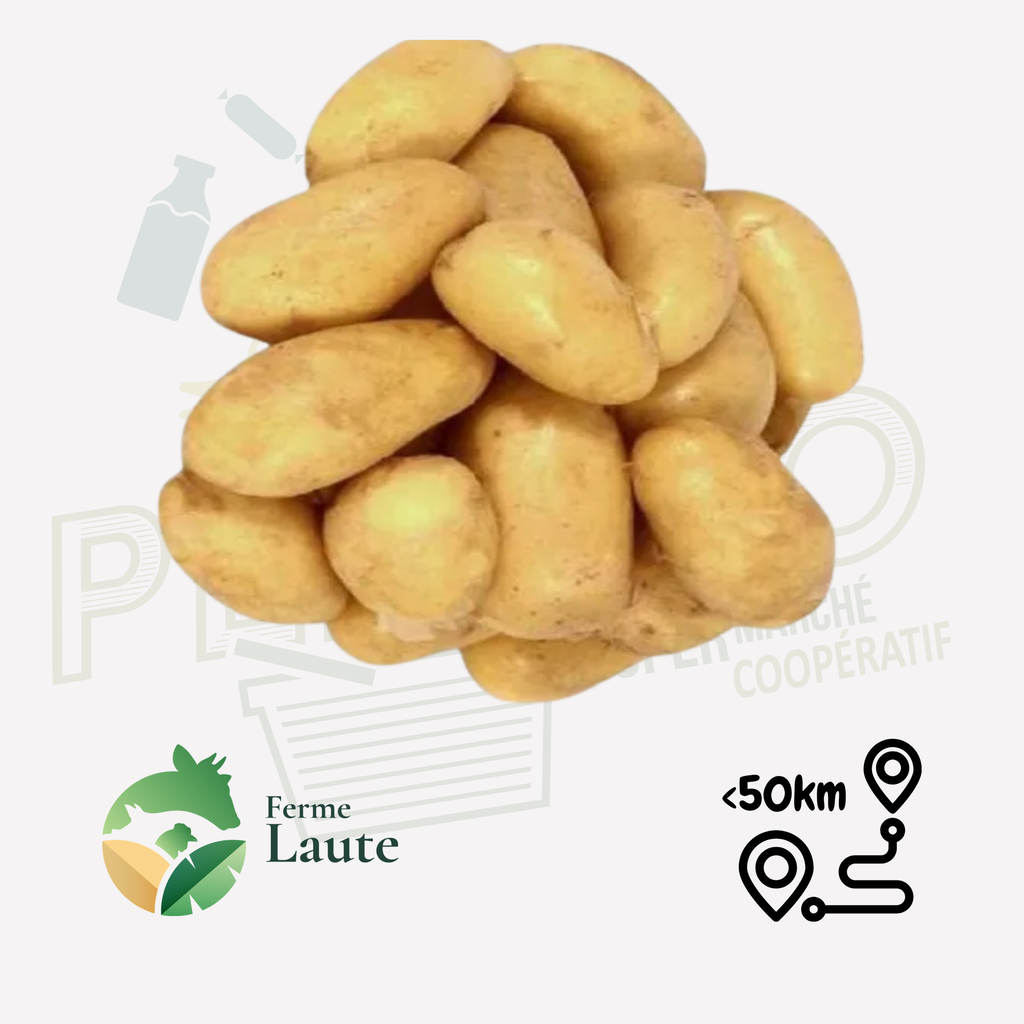 Pomme de terre charlotte FL - 1kg