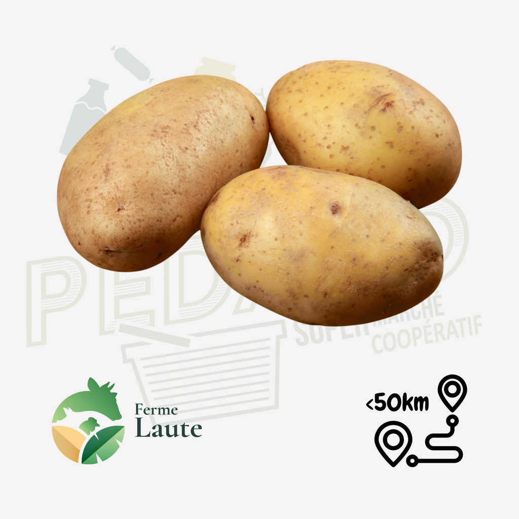 Pomme de terre Bintje FL - 1kg