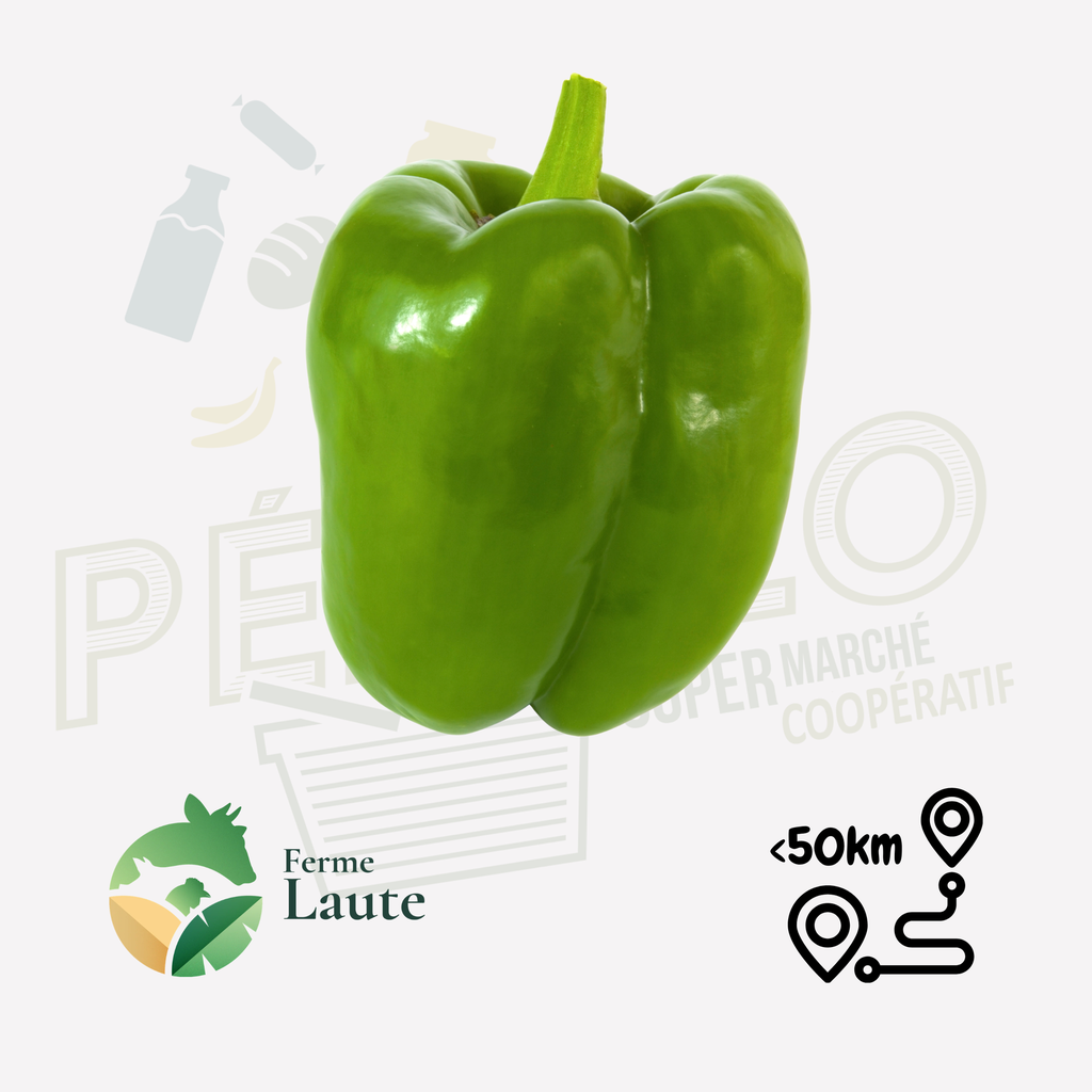 Poivron vert FL - 500g