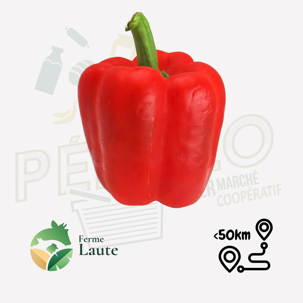 Poivron rouge FL - 500g