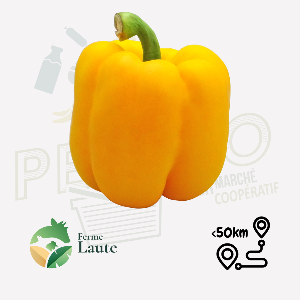 Poivron jaune FL - 500g
