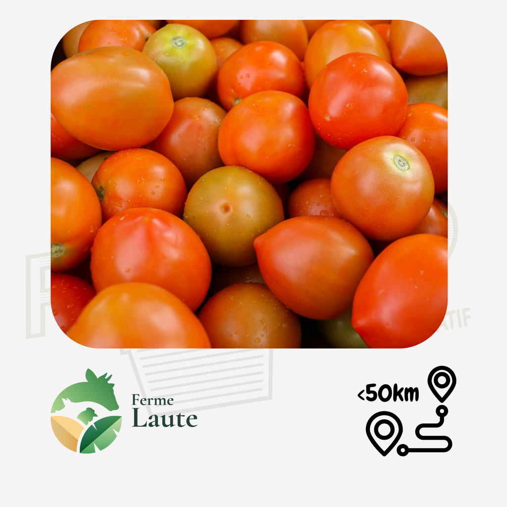 Tomate ancienne cornues FL - 1kg