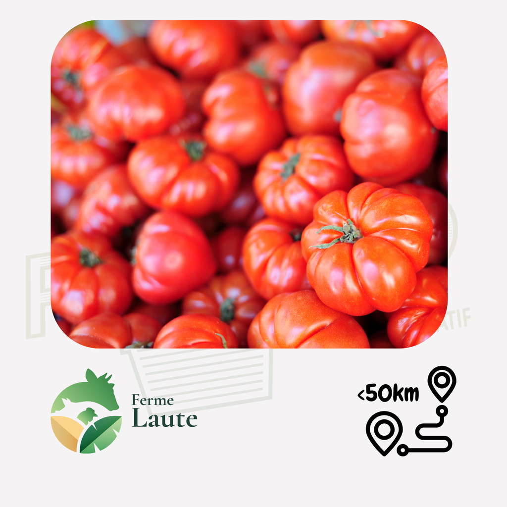 Tomate coeur de boeuf FL - 1kg