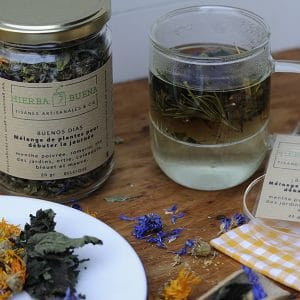 Tisane Buen dia Hierba Buena 20g