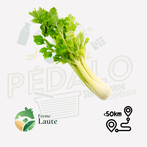Celeri vert FL Unité