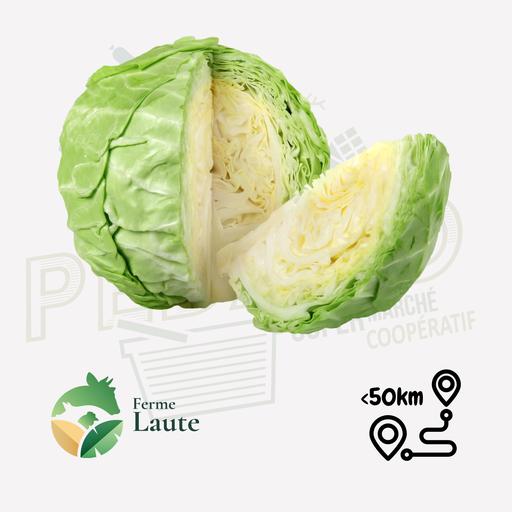 Chou blanc FL Unité