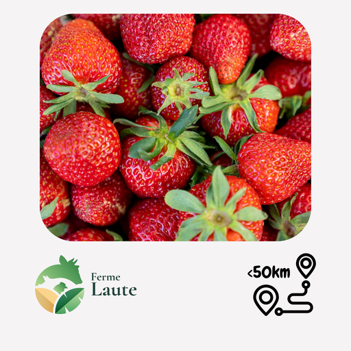 Fraises belges FL - 500g
