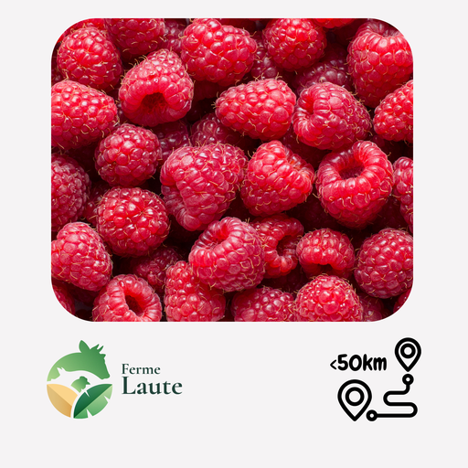 Framboises belges FL - 125gr