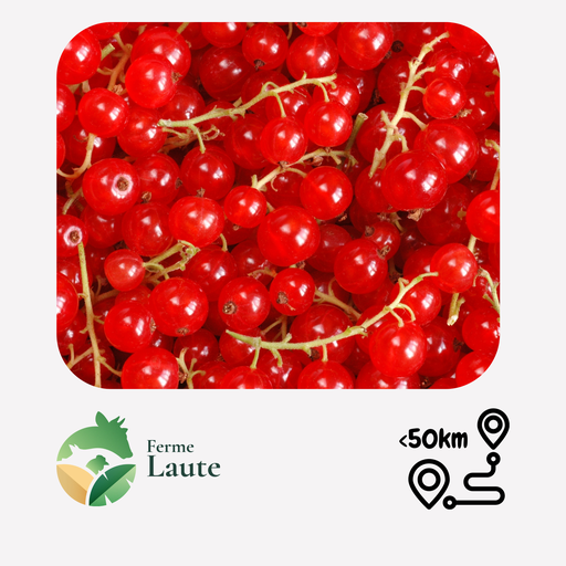 Groseilles rouges FL - 500gr