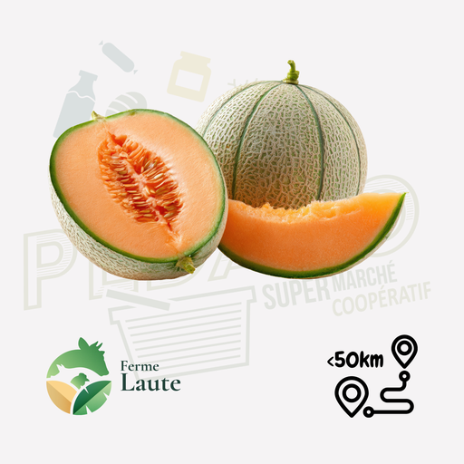 Melon charentais FL Unité