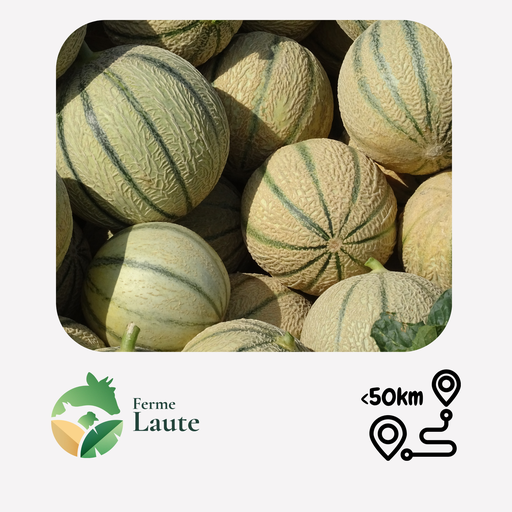 Melon charentais FL Unité