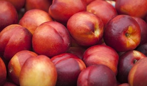 Nectarine FL VRAC 1KG (6 à 7 pièces)