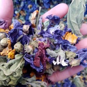 Tisane “4 Flores” Mal de gorge Hierba buena 20g
