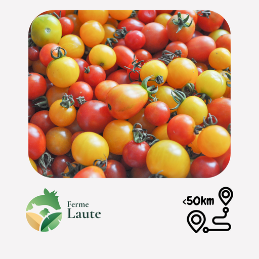 Tomate Cerise multicolores FL - 250g
