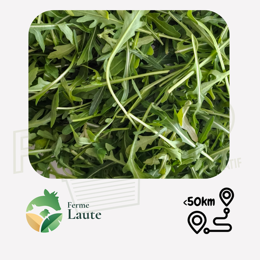 Roquette FL - 125g