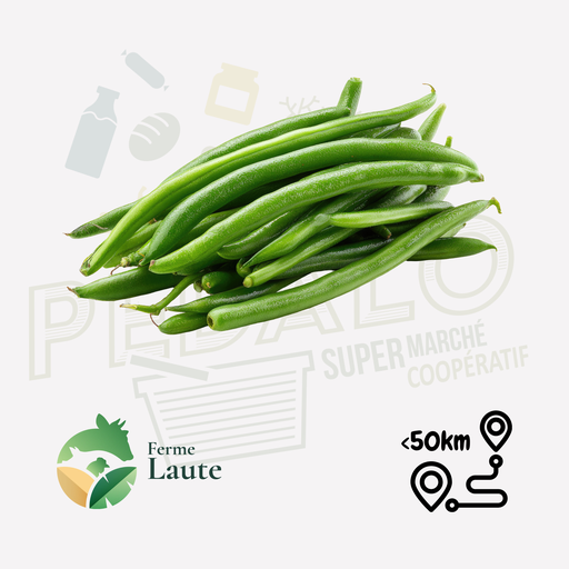 Haricot vert bio  FL - 250g