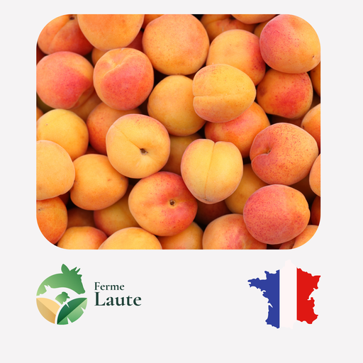 Abricot (France ) FL - 250g