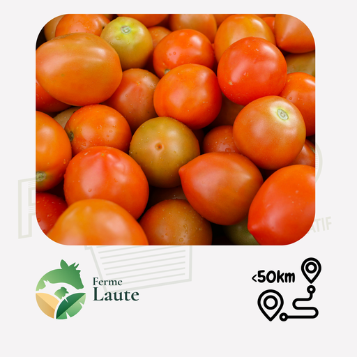 Tomate ancienne cornues FL - 1kg