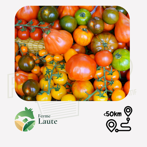 Tomate ancienne mix FL - 1kg